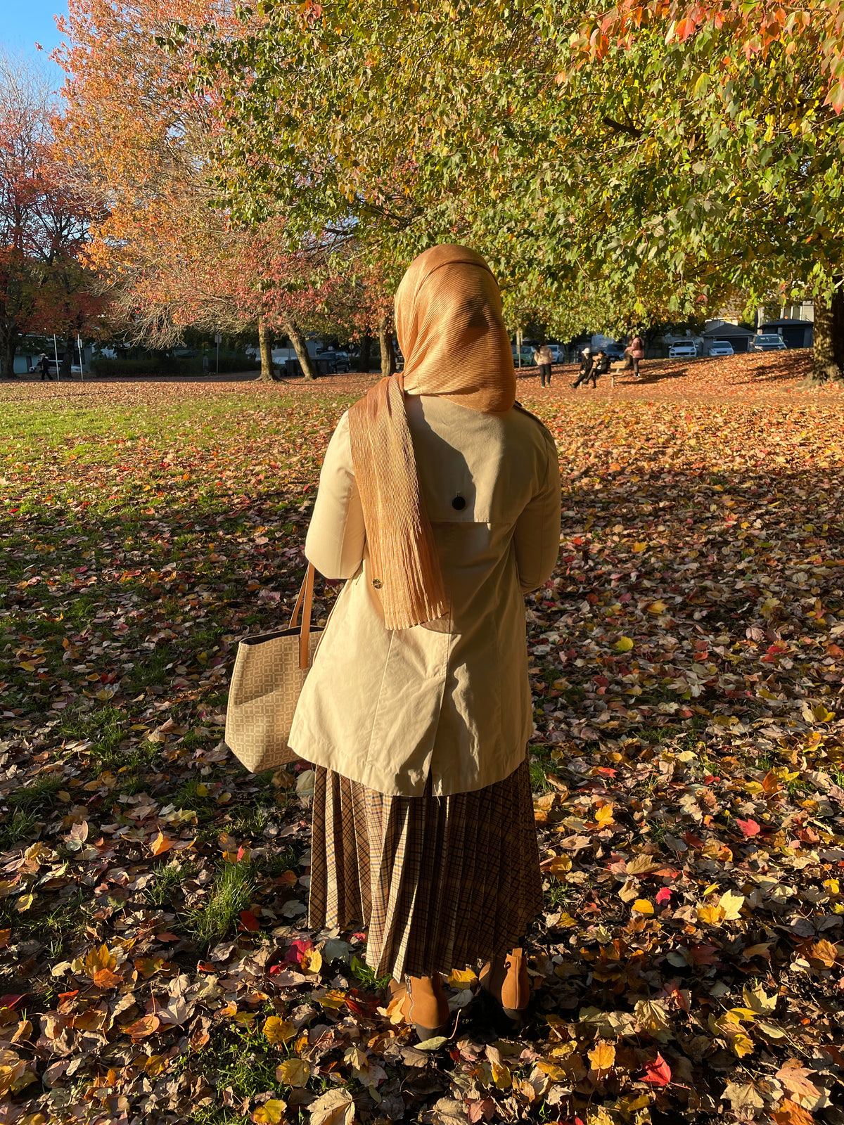 Modest Fall Enchantment: Hijab Fashion and Color Combinations